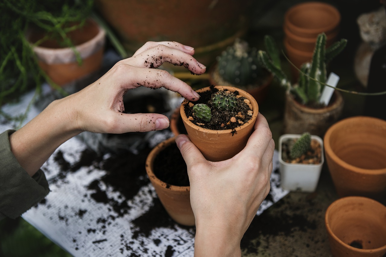 The Power of XRF Soil Testing: How It’s Revolutionizing Environmental Analysis